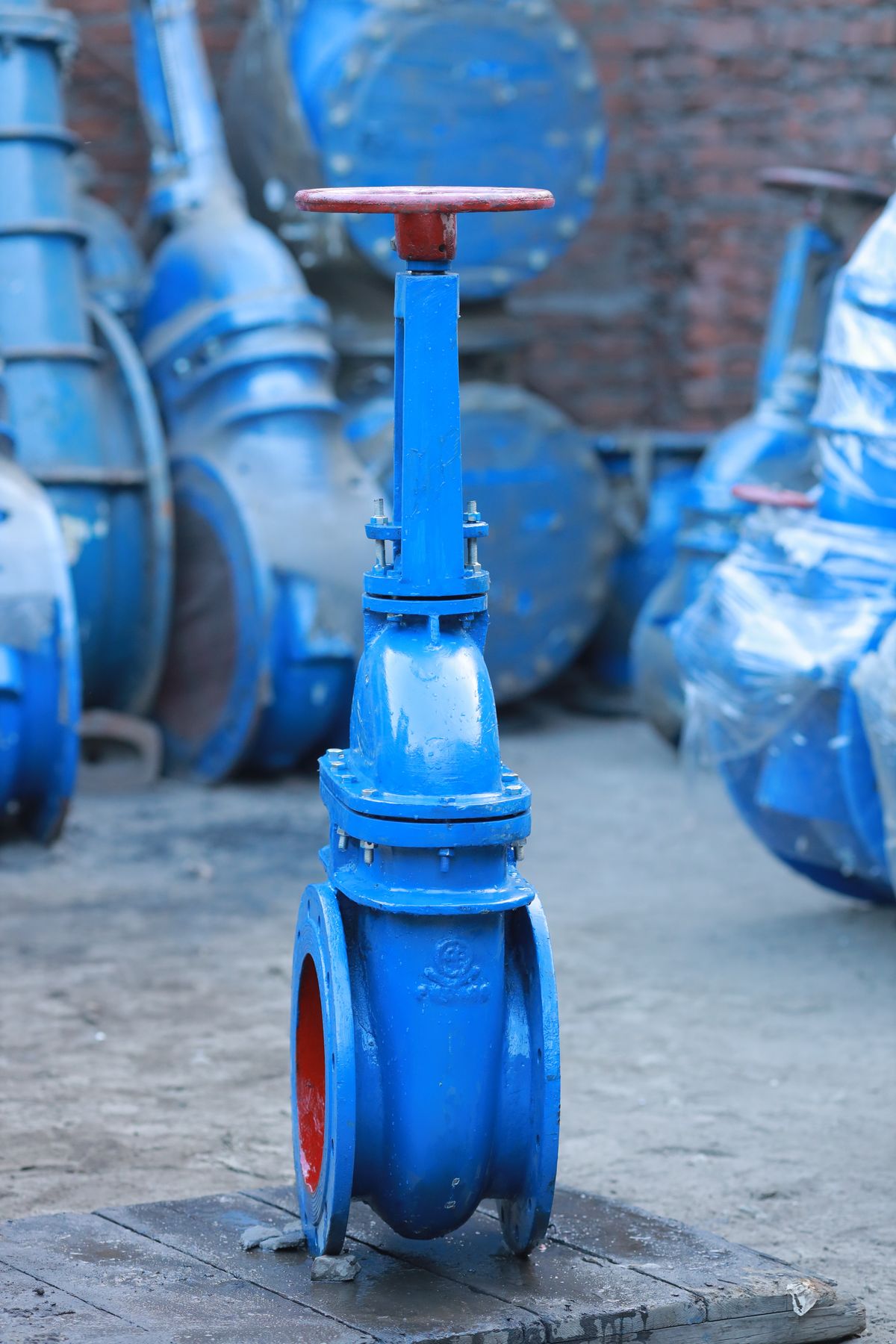 Filtration & Maintenance